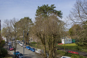 Photo 5- click for photo gallery